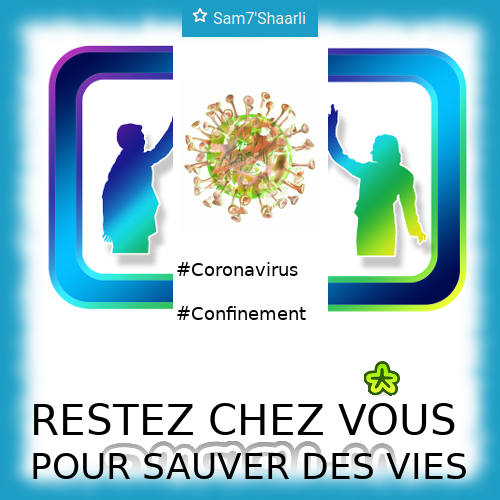 Lire la suite à propos de l’article Shaarli #Coronavirus #Confinement